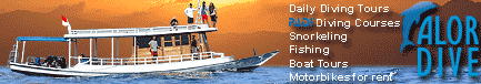 http://www.alor-dive.com