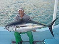 Yellowfin Tuna (73 kg)